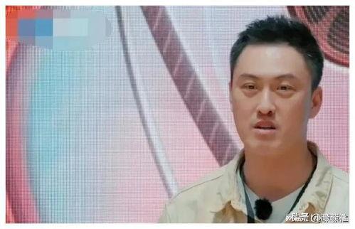 娱乐圈吃瓜爆料315是真的吗